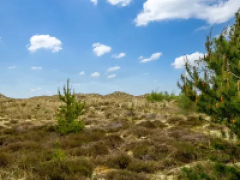 "Kimi" - 75m from the sea