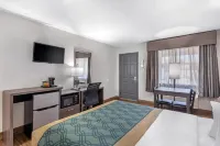 Econo Lodge Socorro Hotels in Socorro