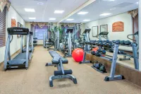 Holiday Inn Express & Suites BLOOMINGTON by IHG - Gym