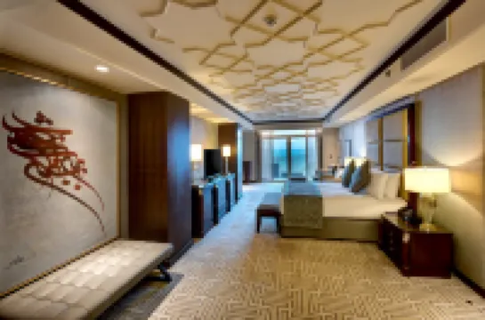 คราวน์ พลาซ่า ดุคม์ บาย IHG