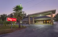 紅頂飯店-鮑德溫