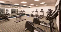 Holiday Inn Express & Suites DODGE CITY by IHG - Gym