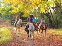 Dillard House Hotels in Dillard