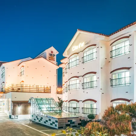 Cote Dor Hotel Отели рядом с достопримечательностью «Пляж Джимйонг»