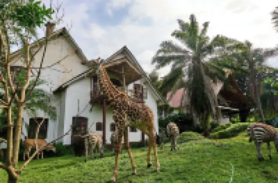 Arusha Safari Lodge