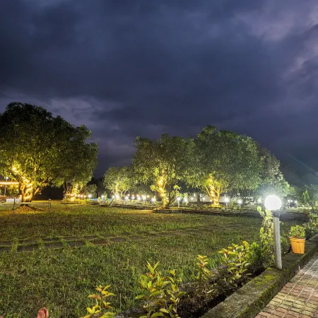 Arbor Resort