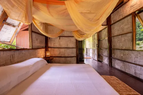 The Forest Elephant - Formerly Known As the Flying Elephant - Homestays