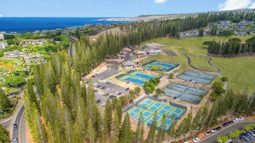 The Most Gorgeous OV Villa in Kapalua Sleeps 6
