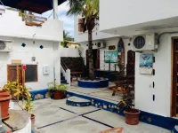 penguin Hotels in Puerto Ayora