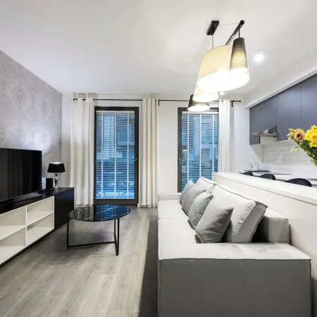 Premium Apartments by Wawel Castle Отели рядом с достопримечательностью «Драгонс Ден»