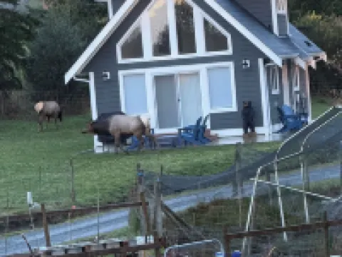 Elk Lodge in Sooke Hotels in Sooke