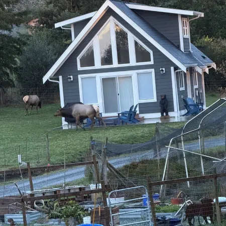 Elk Lodge in Sooke