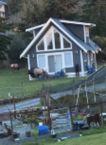 Elk Lodge in Sooke