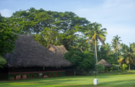 Marari Beach Resort Alleppey- a CGH Earth Experience