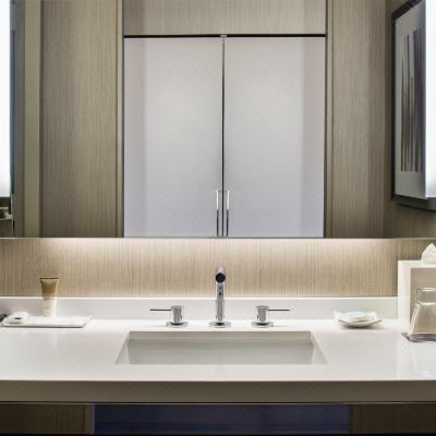 One-Bedroom Executive Suite Hyatt Regency McCormick Place Promo Code