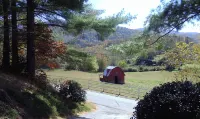 'Dood's Ranch', cozy mountain cottage on horse farm in Waynesville!