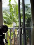 Arenal cautiva - Mountain view