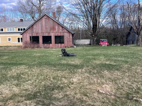 Beautiful 4-Bed Home on 24 Acres in West Burke-12 Min from Burke Mountain Trails - Gym