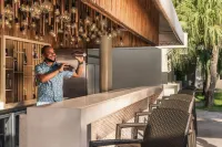 Renaissance Santo Domingo Jaragua Hotel & Casino - С баром