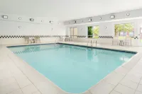 羅徹斯特亨麗埃塔Homewood Suites by Hilton - 游泳池