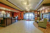 丹佛/海蘭茲蘭奇希爾頓歡朋旅館&套房飯店 - 停車場