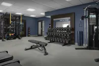 Hampton Inn & Suites Georgetown - Gym