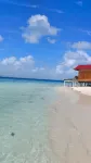 Pelicano Island - Wifi