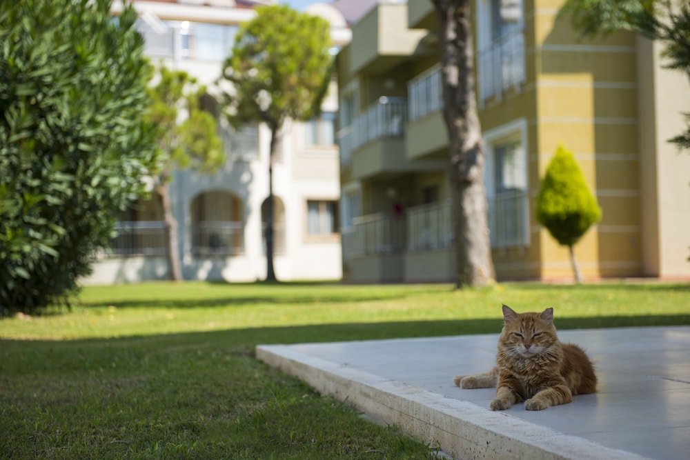 Kamelya Selin Hotel (Sentido Kamelya Selin Hotel)