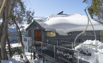 Attunga Alpine Lodge & Apartments