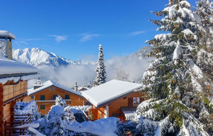 Boule de Neige