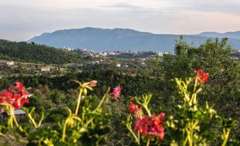 a picturesque landscape with a city in the background , surrounded by lush green hills and red flowers in the foreground at Casale San Pietro