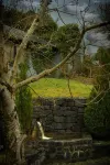 The Waters Country House - Villas