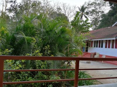 View from Hotel Wild Flower Photo