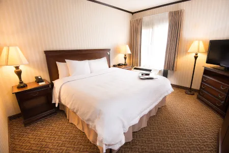 卡爾斯塔特歡朋飯店-梅多蘭茲