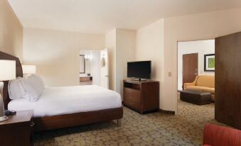 Hilton Garden Inn Rochester-Downtown