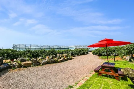 Jeju Osaekgyul Cheheom Pension Отели рядом с достопримечательностью «Dolgeobugi Suseok Bakmulkwan»