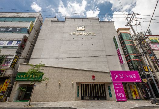 나무늘보호텔 객실