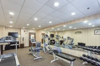 Holiday Inn Express & Suites BYRAM by IHG - Gym