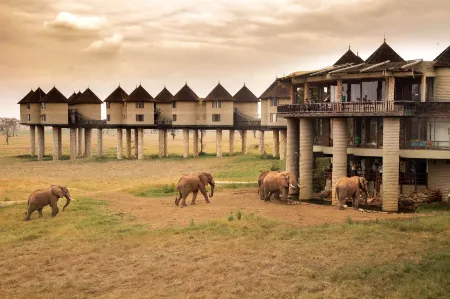 Salt Lick Safari Lodge Отели в г. Муотейт