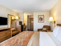 Quality Inn Lone Pine Near Mount Whitney Hotels in Lone Pine