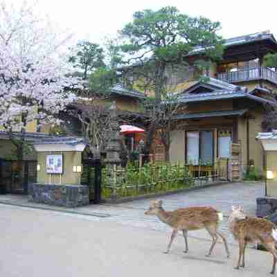 武藏野古都旅館 Hotel Exterior