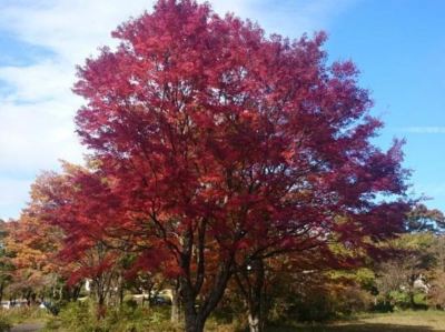 ホテル周辺 箱根レイクホテルの写真