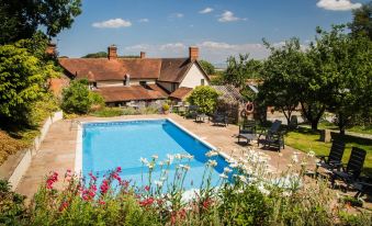 a large swimming pool is surrounded by chairs and flowers , with a house in the background at Castle of Comfort Hotel