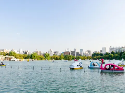 KOKO HOTEL Ueno Ekimae (formerly Hotel Wing Select Ueno-Okachimachi)