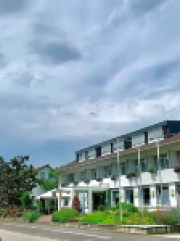 호텔 취르처 플루