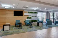 巴拿馬城貝斯特韋斯特優質酒店 - 停車場