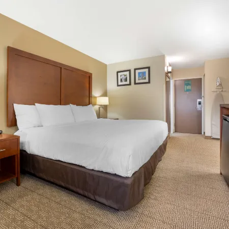 Comfort Inn & Suites Indianapolis Northwest - College Park