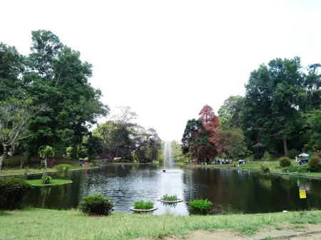 Villa Kota Bunga Matahari