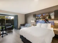 Best Western Belleville Hotels in Belleville