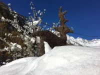 Le Petit Nid Hotels in Breuil-Cervinia